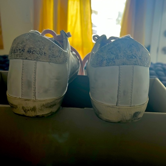 Golden goose! - Picture 5 of 11